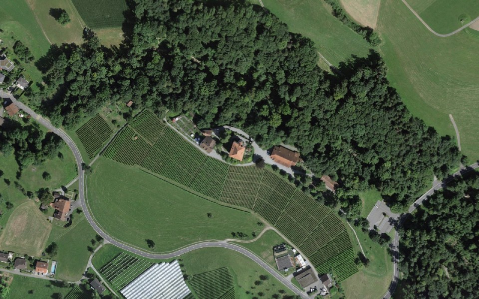 Luftbild mit Messpunkt: Schloss Heidegg