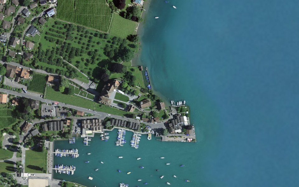 Luftbild mit Messpunkt: Schloss Spiez